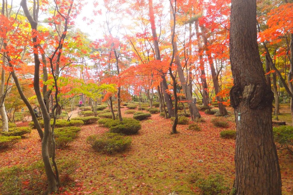 松雲山荘　紅葉